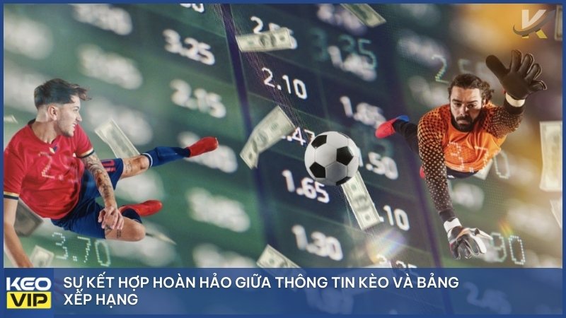 Sự kết hợp hoàn hảo giữa thông tin kèo và bảng xếp hạng